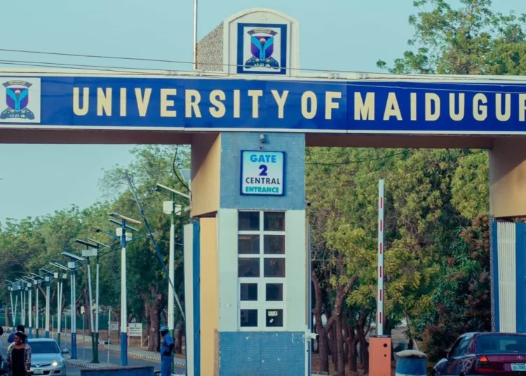 unimaid 750x536